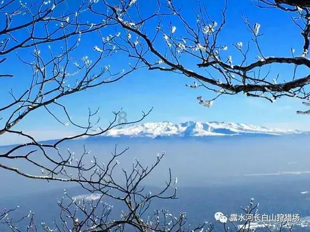 莒南县十字路街道召开省派第六批第一书记见面座谈会