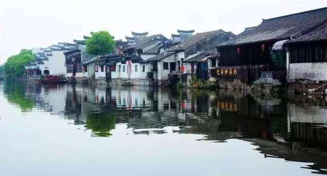河南农担公司：驻村更“助村”，帮扶促振兴